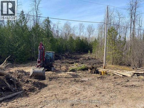 831 Centennial Park, Kawartha Lakes, ON 