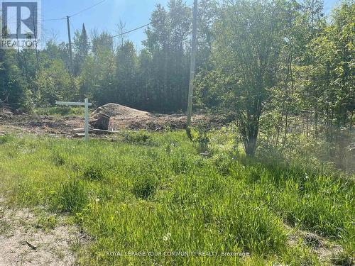 831 Centennial Park, Kawartha Lakes, ON 