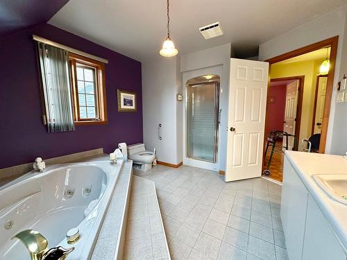 Salle de bains - 2365 Rue Guenette, Val-David, QC - Indoor Photo Showing Bathroom