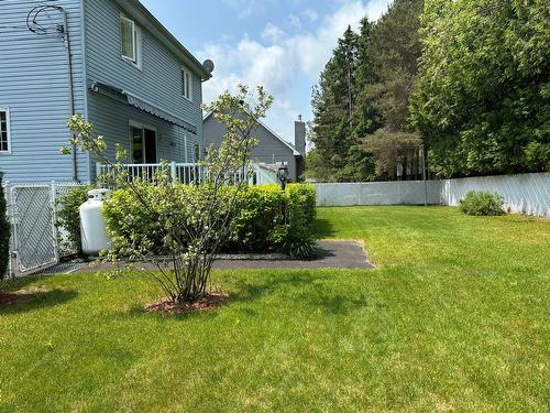 Cour - 2365 Rue Guenette, Val-David, QC - Outdoor