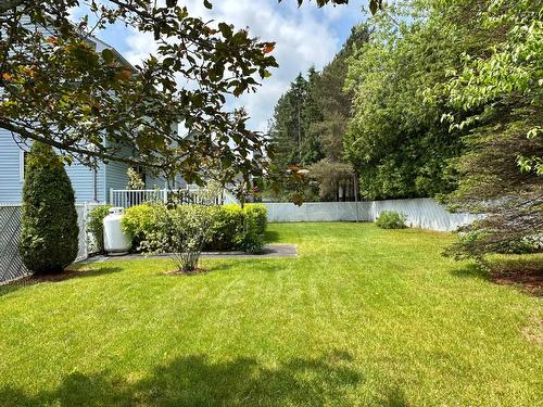 Cour - 2365 Rue Guenette, Val-David, QC - Outdoor