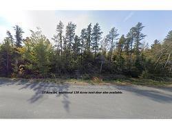 Lot Rte 117 Hardwicke  Hardwicke, NB E9A 1J9