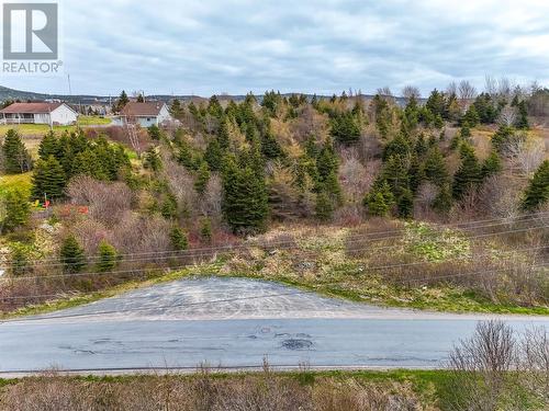 45 Pond Side, Carbonear, NL 