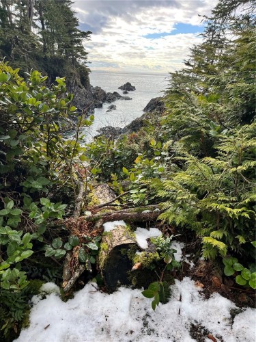 1104-596 Marine Dr, Ucluelet, BC - Outdoor