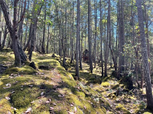 228 Ling Cod Lane, Mudge Island, BC 