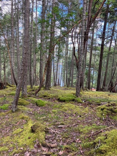 228 Ling Cod Lane, Mudge Island, BC 