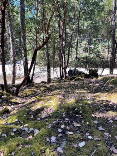 228 Ling Cod Lane, Mudge Island, BC 