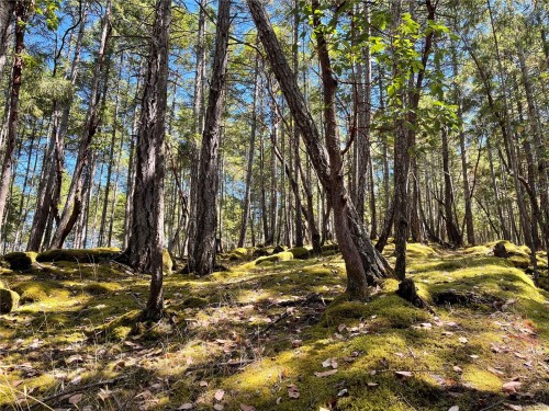 228 Ling Cod Lane, Mudge Island, BC 