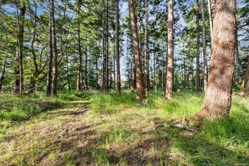 348 Lazo Rd, Comox, BC 