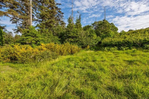 348 Lazo Rd, Comox, BC 