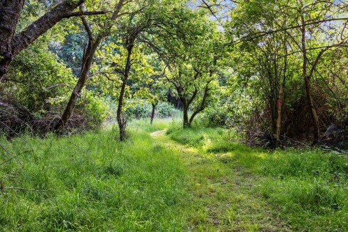 348 Lazo Rd, Comox, BC 