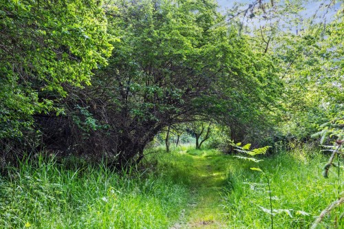 348 Lazo Rd, Comox, BC 