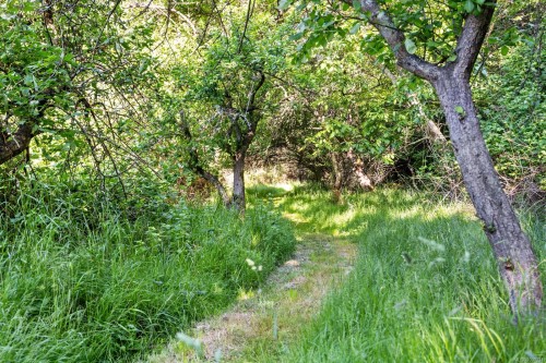 348 Lazo Rd, Comox, BC 