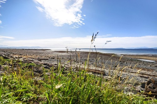 348 Lazo Rd, Comox, BC 