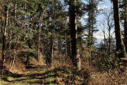 348 Lazo Rd, Comox, BC 