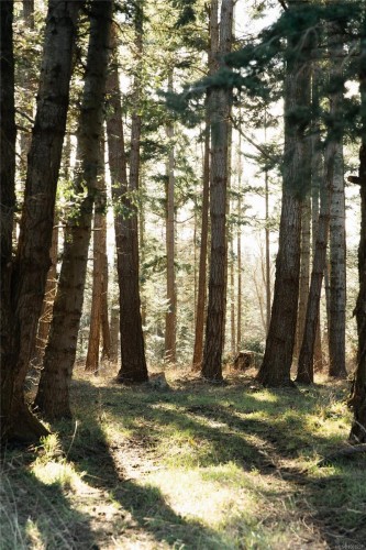 348 Lazo Rd, Comox, BC 