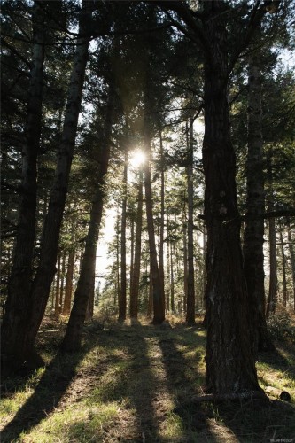 348 Lazo Rd, Comox, BC 