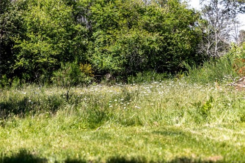 348 Lazo Rd, Comox, BC 