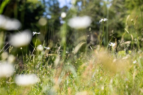 348 Lazo Rd, Comox, BC 