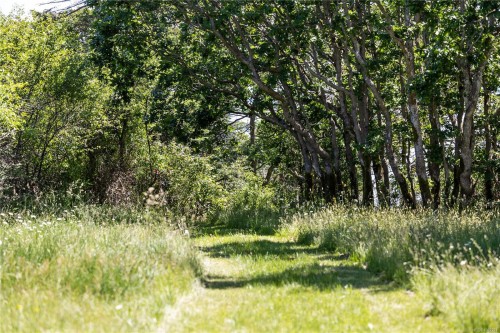 348 Lazo Rd, Comox, BC 