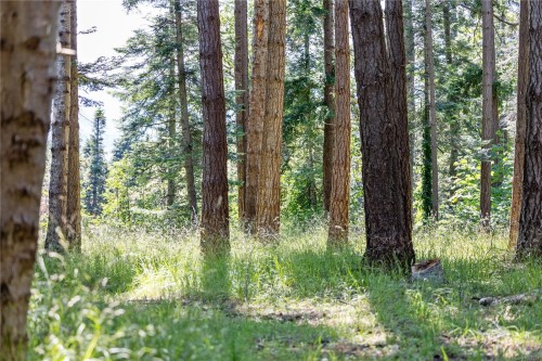 348 Lazo Rd, Comox, BC 