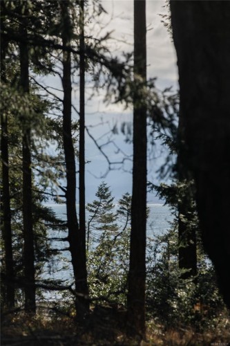 348 Lazo Rd, Comox, BC 