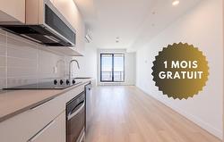 3805-1001 Rue Lucien-L'Allier  Montréal (Ville-Marie), QC H3G 0G7