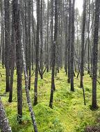 Ch. Ducharme   Saint-Dominique-Du-Rosaire, QC J0Y 2K0