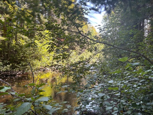 Bord de l'eau - Rang 2, Saint-Bruno-De-Kamouraska, QC 
