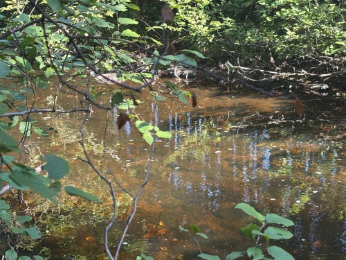 Bord de l'eau - Rang 2, Saint-Bruno-De-Kamouraska, QC 
