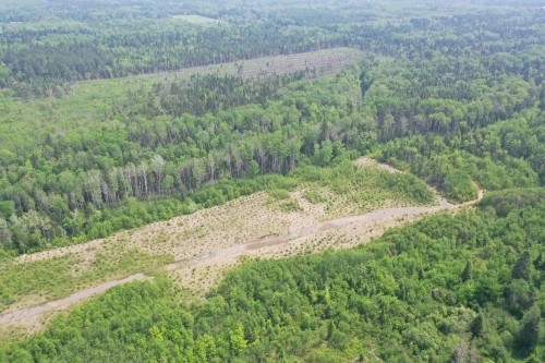 Terre/Terrain - Rang 2, Saint-Bruno-De-Kamouraska, QC 