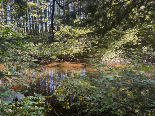 Bord de l'eau - Rang 2, Saint-Bruno-De-Kamouraska, QC 