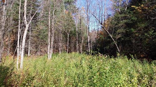 Wooded area - 4E Rang, Sainte-Julienne, QC 