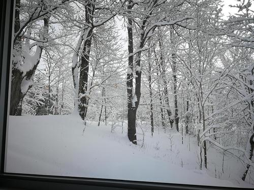 Wooded area - 4E Rang, Sainte-Julienne, QC 