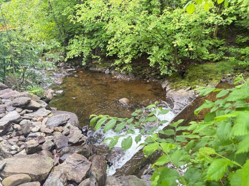 Vue sur l'eau - 18  - 22 Rue Beauregard, Eastman, QC - Outdoor