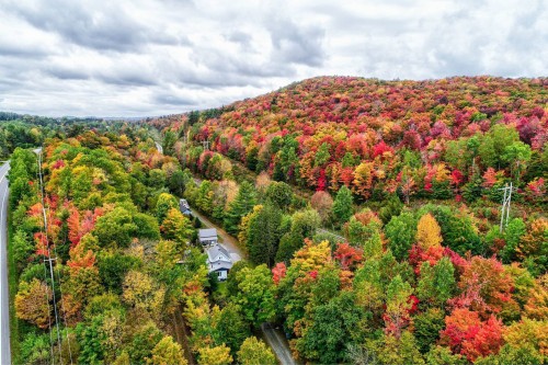 Photo aérienne - 18  - 22 Rue Beauregard, Eastman, QC - Outdoor With View