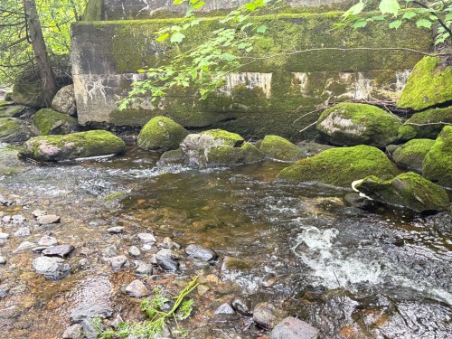Accès au plan d'eau - 18  - 22 Rue Beauregard, Eastman, QC - Outdoor