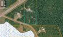 Lot B Schemenaur Road, Quesnel, BC 