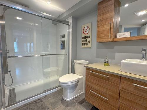 Bathroom - 448-116 Ch. De Kandahar, Mont-Tremblant, QC - Indoor Photo Showing Bathroom