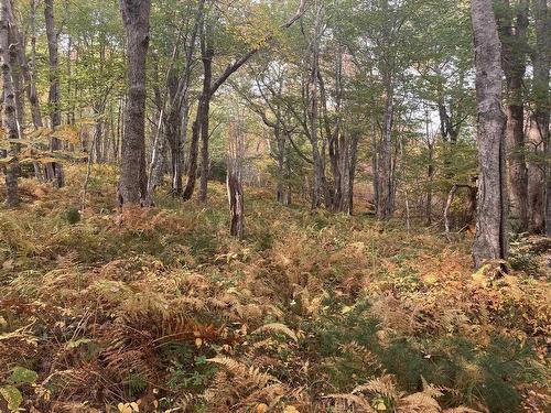 Lot No 103 Highway, East Sable River, NS 