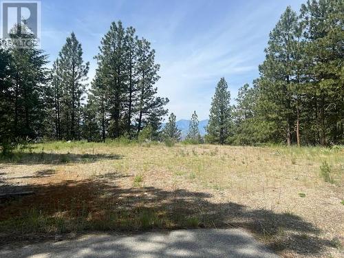 240 Sasquatch Trail Lot# Lot 9, Osoyoos, BC 