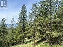 240 Sasquatch Trail Lot# Lot 9, Osoyoos, BC 
