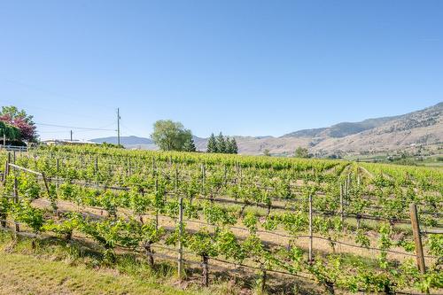 5381 97 Highway, Oliver, BC 