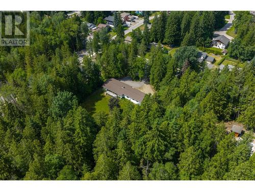 1557 Nichol Road, Revelstoke, BC - Outdoor With View