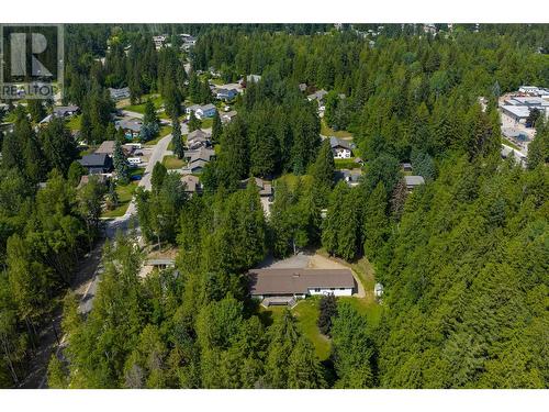 1557 Nichol Road, Revelstoke, BC - Outdoor With View
