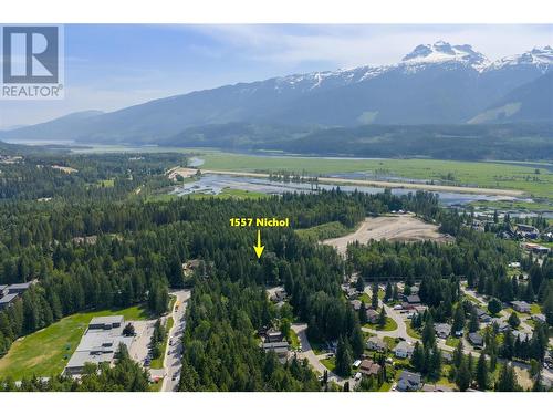 1557 Nichol Road, Revelstoke, BC - Outdoor With View