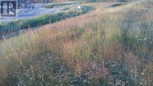 0B Ragged Point Road, Ragged Point, NL 