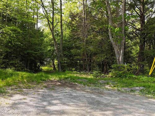 Lot Nathan Croft Road, Camperdown, NS 