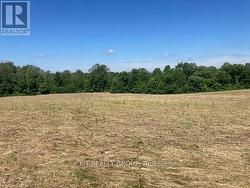 544 CROWE ROAD  Quinte West (Murray Ward), ON K0K 2C0