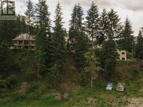 1102 Bealby Street, Nelson, BC 